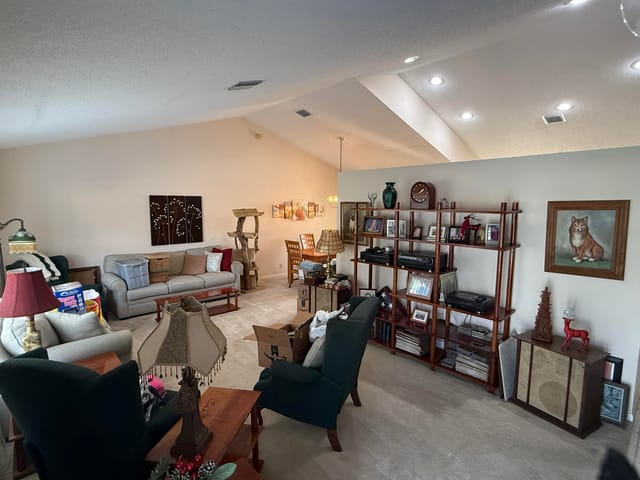 the living room