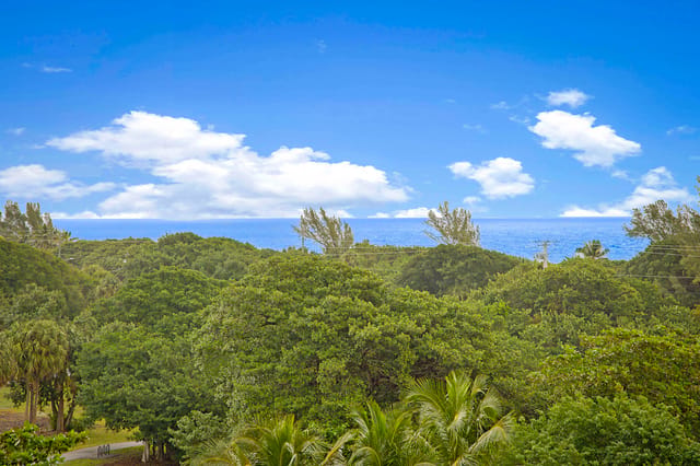 Ocean Views
