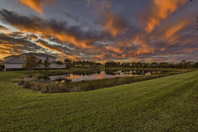 Lake Views