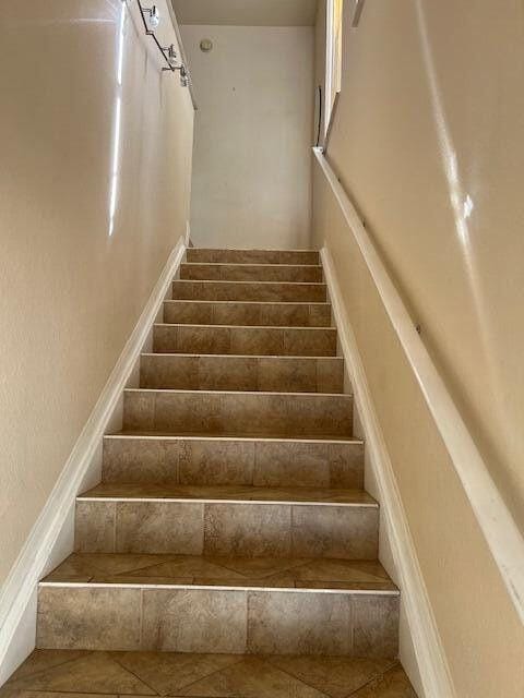peacock stairs