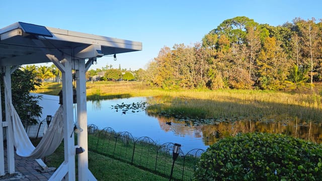 Lake view