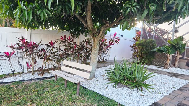 Patio 2