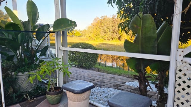 pool view