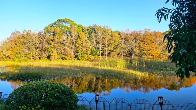 Lake 6