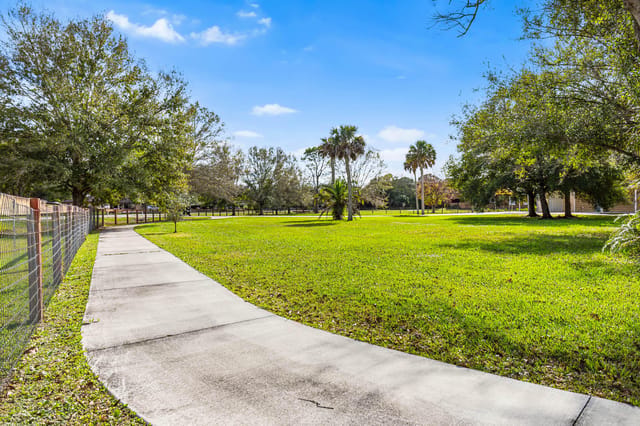 Sidewalk