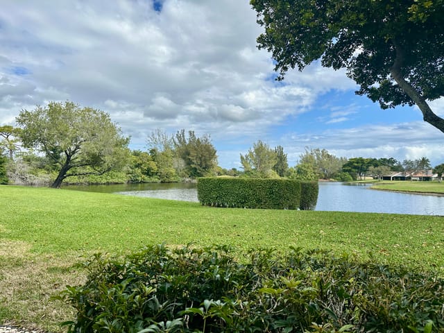 Lake view