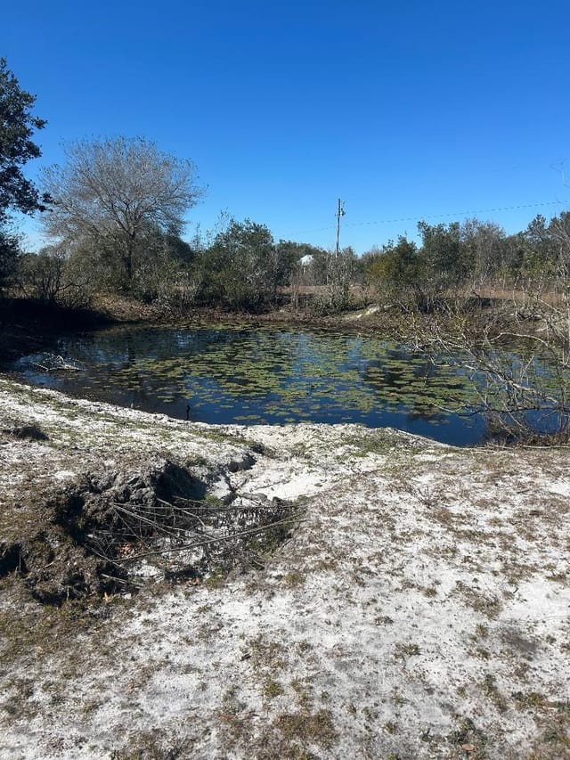Pond