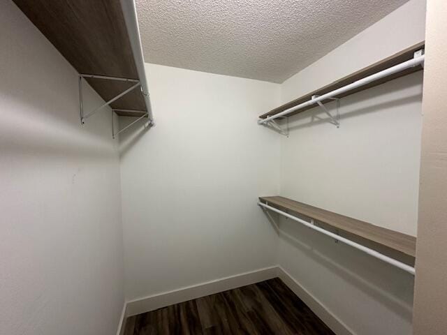 Master Walk in closet