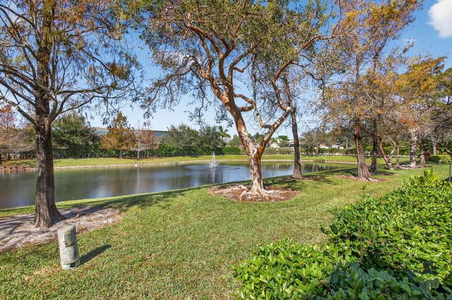 5-web-or-mls-10156-0752