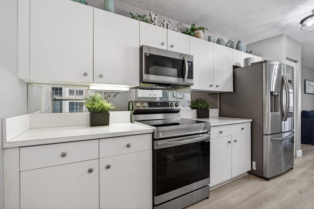 17-web-or-mls-10156-0813