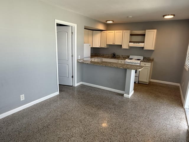 Living room and kitchen