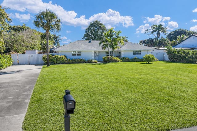 Sunny suburban home with palm tree