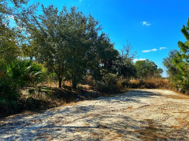 Lot Frontage