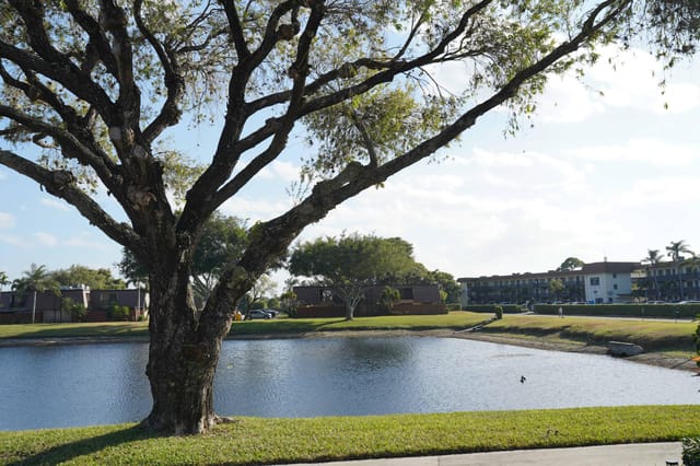 lake