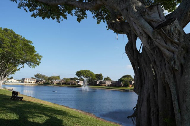 lake 4