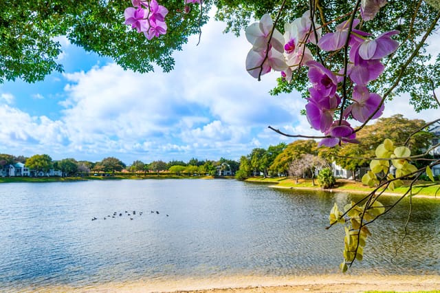 LAKE