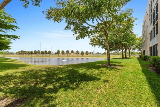Water view