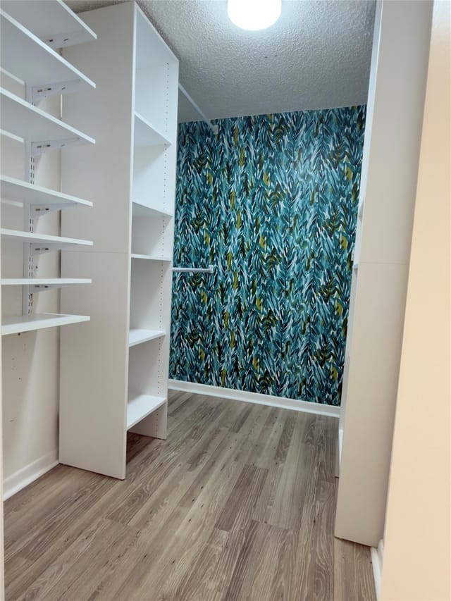Primary Walk-In Closet