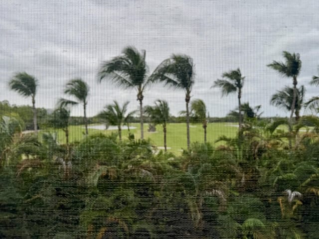 view