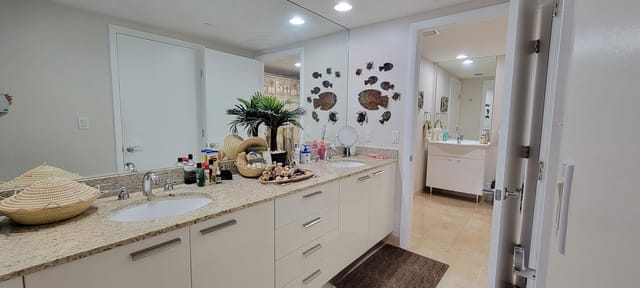 Dual Sinks