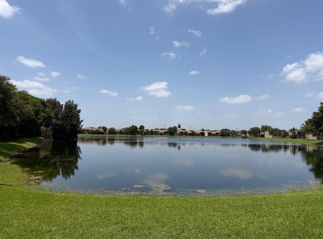 Lake view