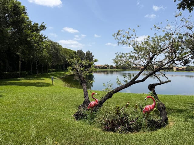 Lake view 2