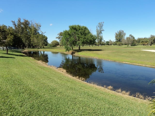 Backyard 2